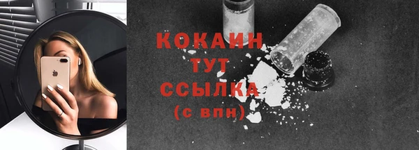 винт Армянск