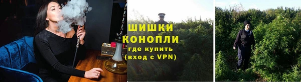 ГАЛЛЮЦИНОГЕННЫЕ ГРИБЫ Аркадак