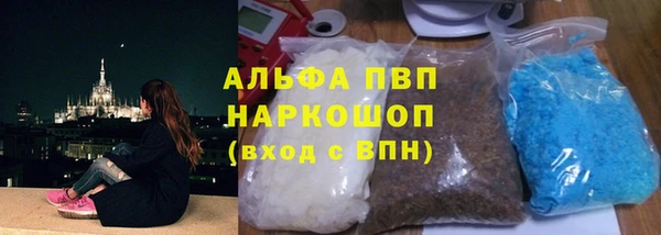 ГАЛЛЮЦИНОГЕННЫЕ ГРИБЫ Аркадак