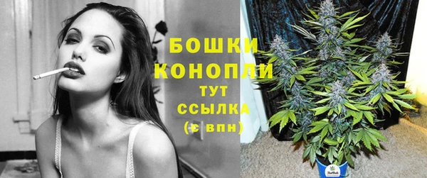 ГАЛЛЮЦИНОГЕННЫЕ ГРИБЫ Аркадак