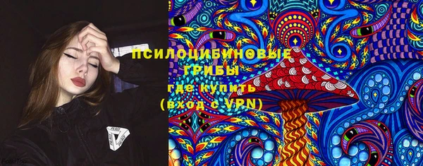 ГАЛЛЮЦИНОГЕННЫЕ ГРИБЫ Аркадак