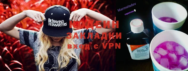 ГАЛЛЮЦИНОГЕННЫЕ ГРИБЫ Аркадак
